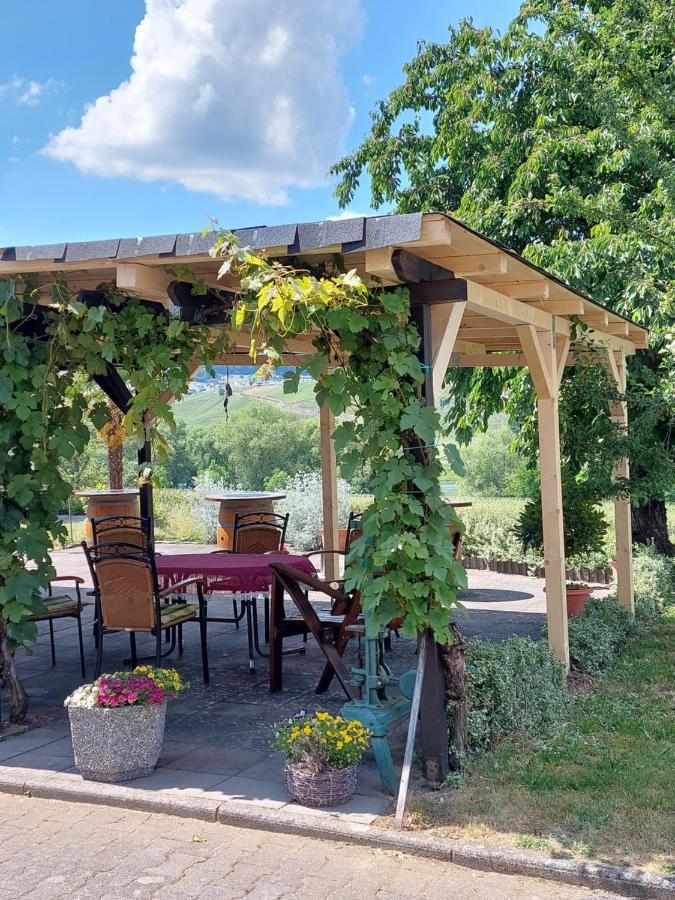 Weingut Licht-Stadtfeld Brauneberg Ngoại thất bức ảnh