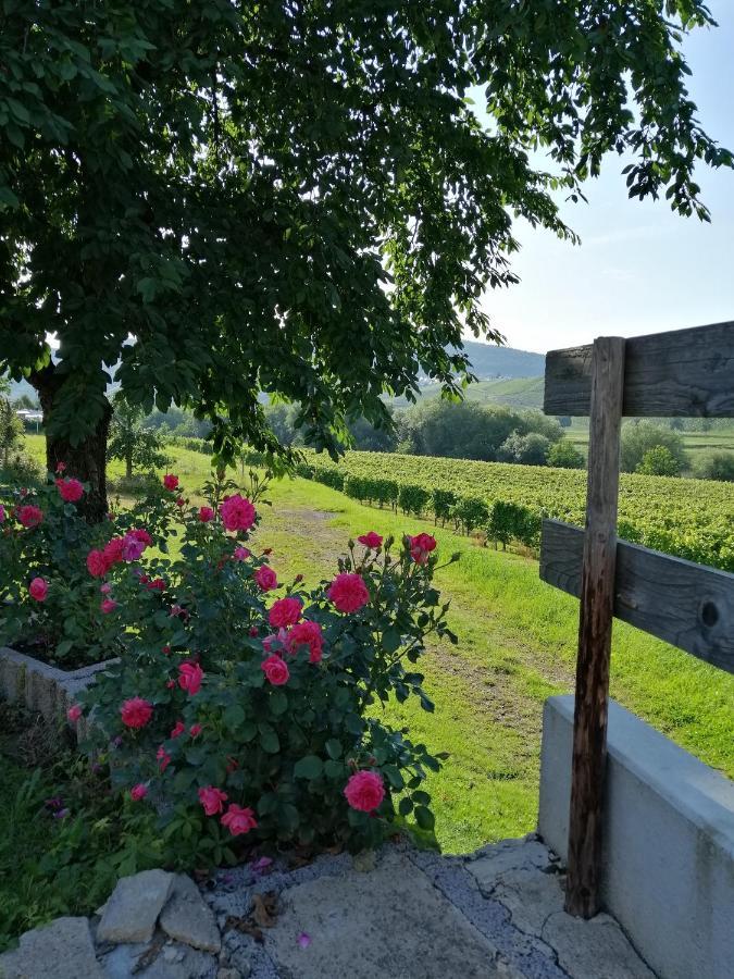 Weingut Licht-Stadtfeld Brauneberg Ngoại thất bức ảnh