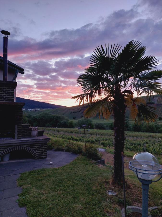 Weingut Licht-Stadtfeld Brauneberg Ngoại thất bức ảnh