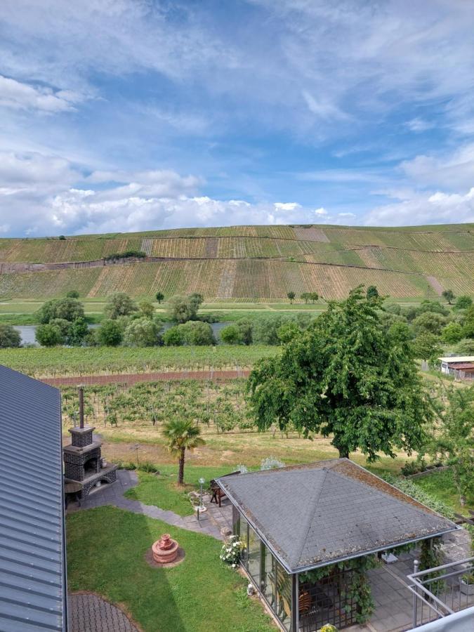 Weingut Licht-Stadtfeld Brauneberg Ngoại thất bức ảnh